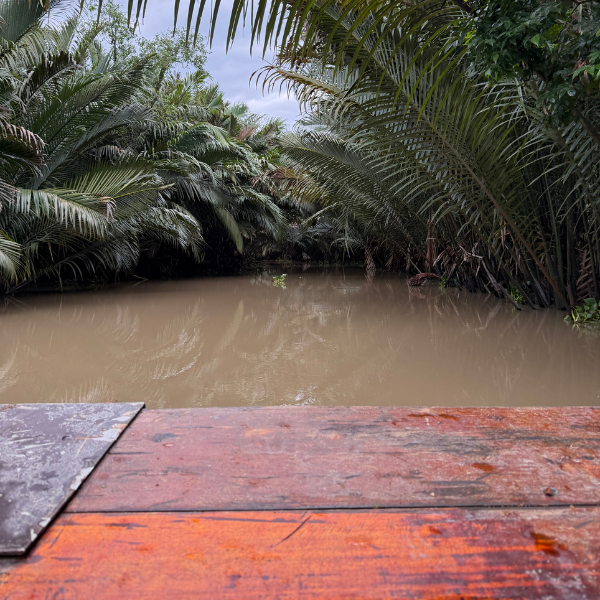 Fiume mekong