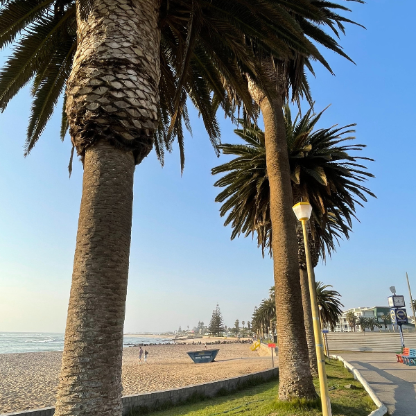 Lungomare con spiaggia e palme a Swakopmund