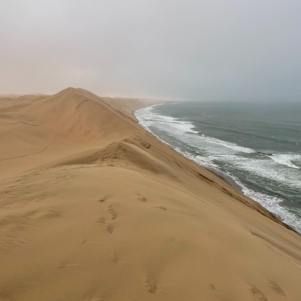 Dune del deserto del Namib