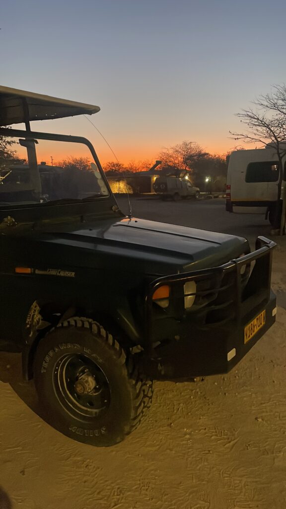 Alba durante un safari in Namibia