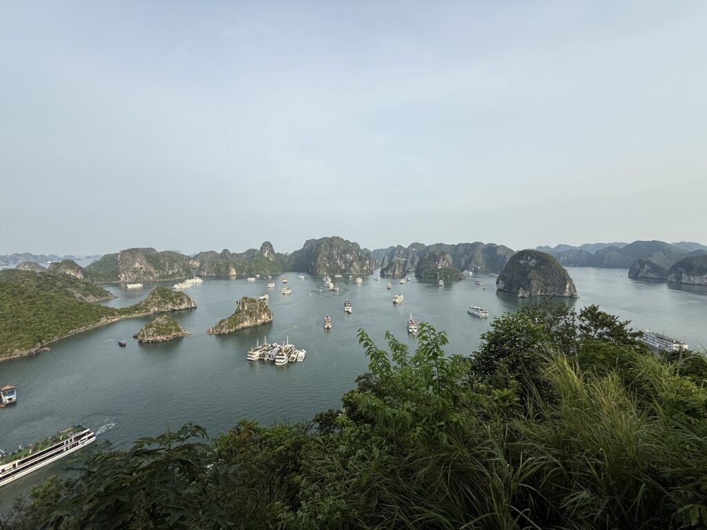 Crociere nella Baia di Ha Long 