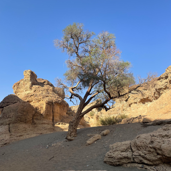 Sesriem Canyon