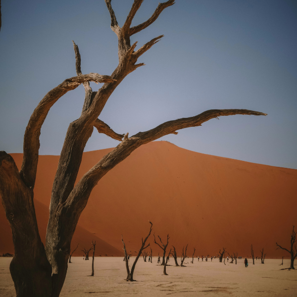 Deadvlei, Namibia