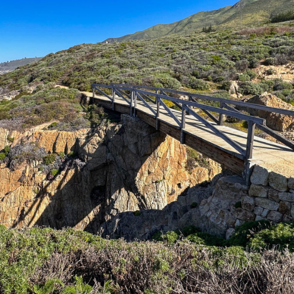 Sentiero nel garrapata state park