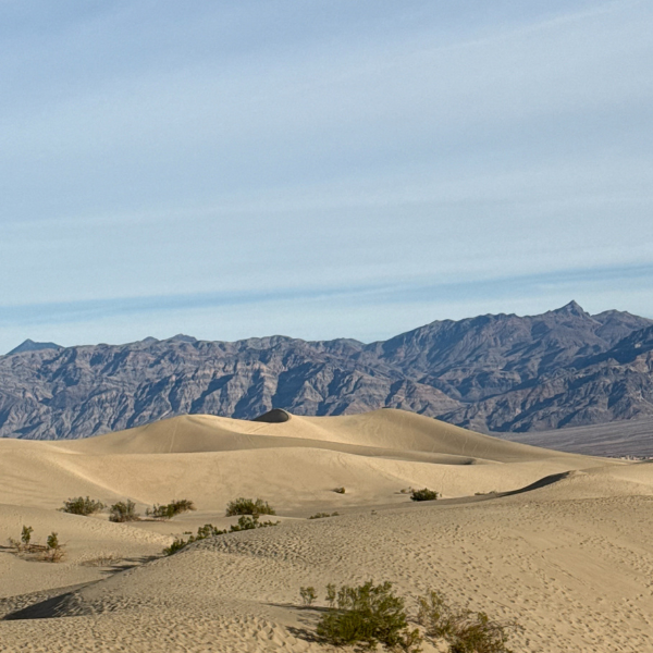 Mesquite Dunes