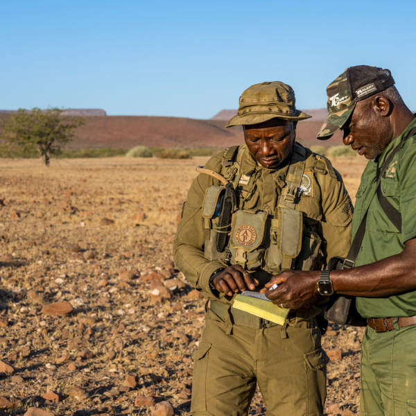 Ranger in Namibia