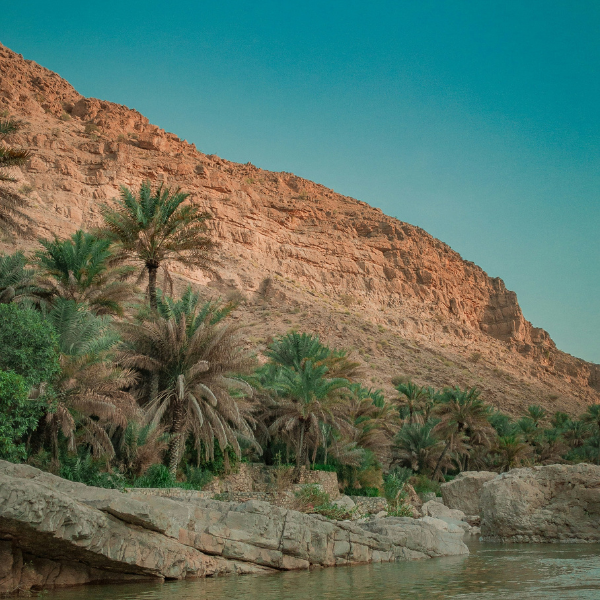 Foto di una oasi in Oman