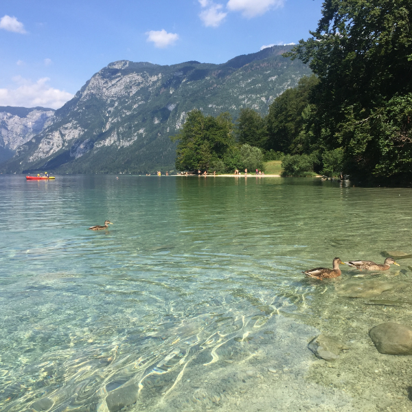 Bohinj Lake